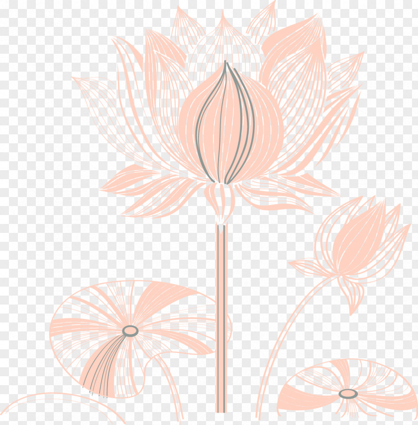 Lotus Line Flora Art Petal Pattern PNG