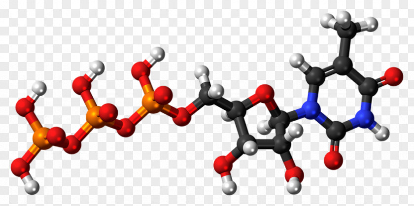 Adenosine Triphosphate Diphosphate Pyrophosphate Uridine PNG