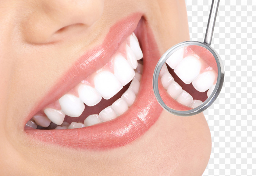 Dentist Smile HD Tooth Whitening Decay Therapy PNG