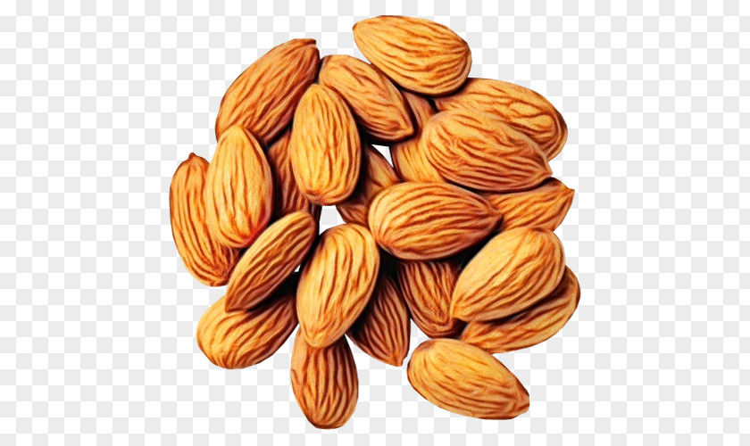 Ingredient Superfood Almond Nut Food Apricot Kernel Nuts & Seeds PNG