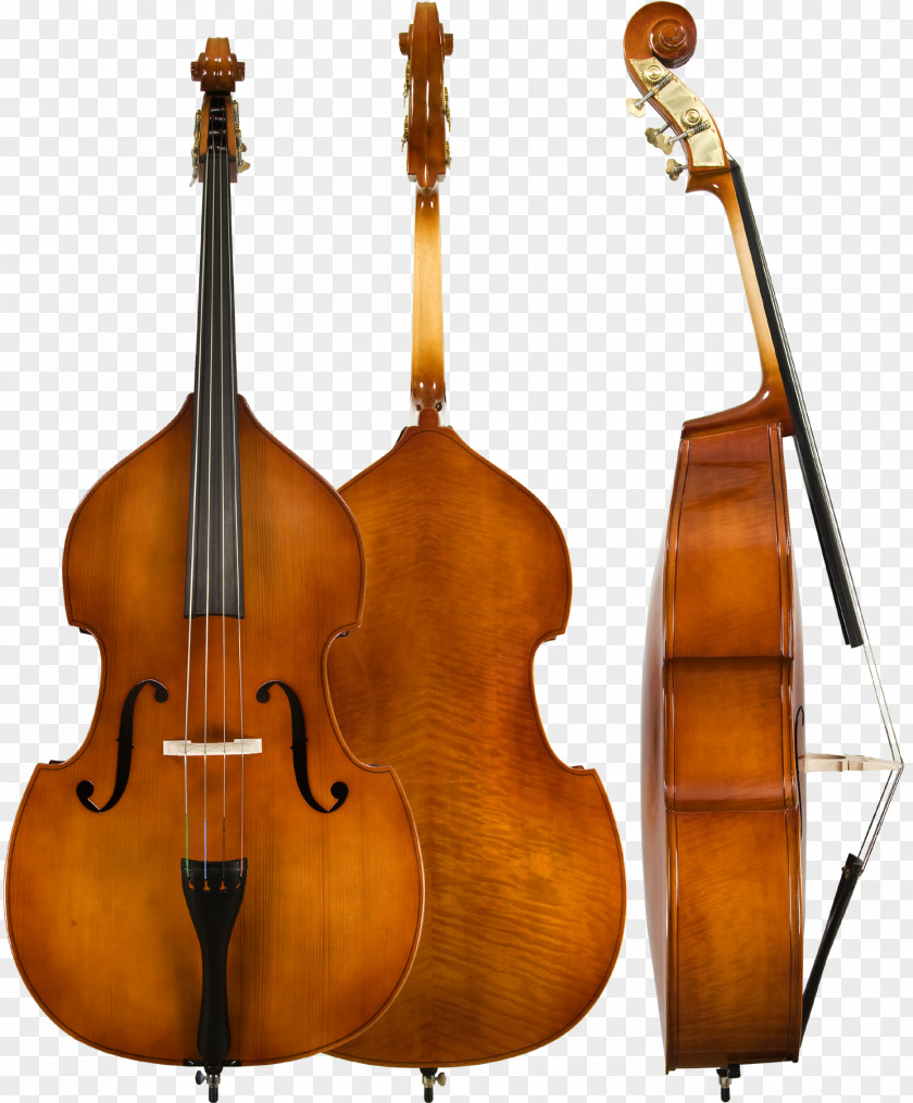 Bass Double Guitar String Instruments Cello Violin PNG