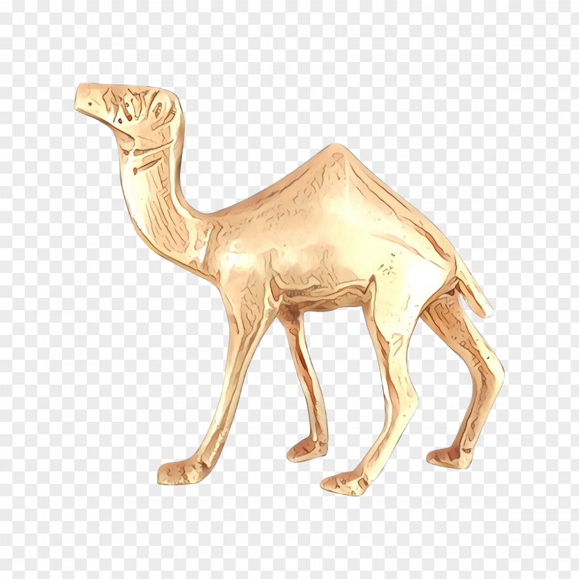 Camel Camelid Arabian Animal Figure Wildlife PNG