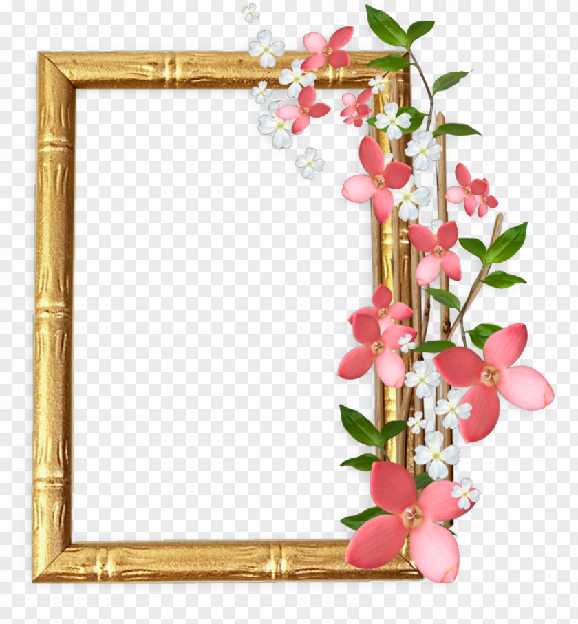 Fuchsia Frame Picture Frames Digital Photography Data PNG