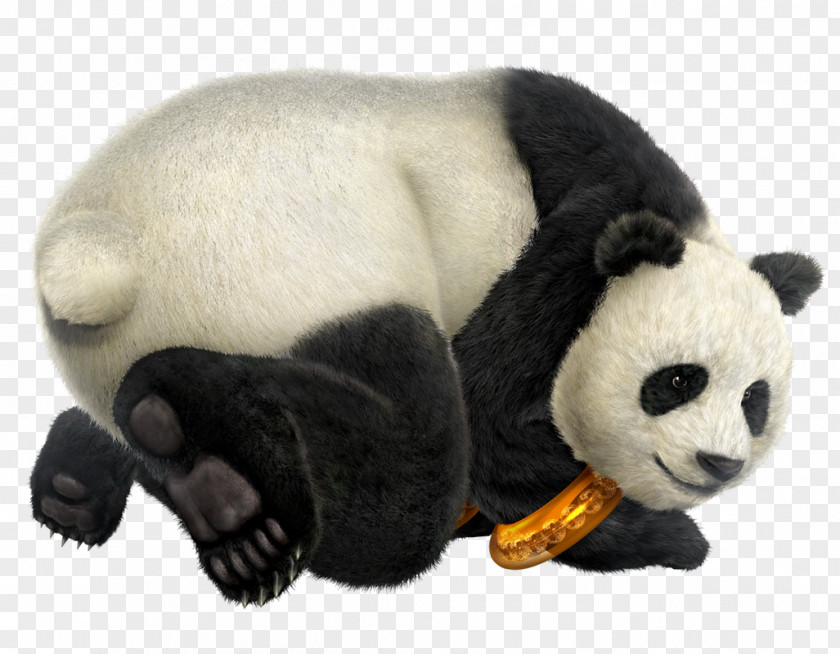 Giant Panda Tekken 6 3 Tag Tournament 2 5 PNG
