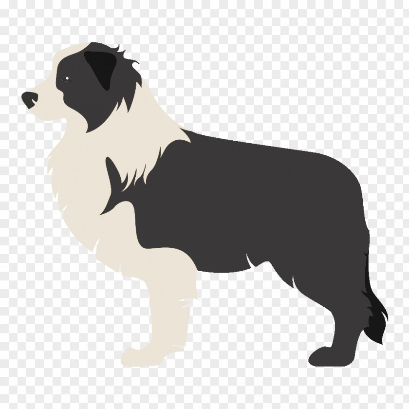 Puppy Border Collie Rough Scotch Old English Sheepdog PNG