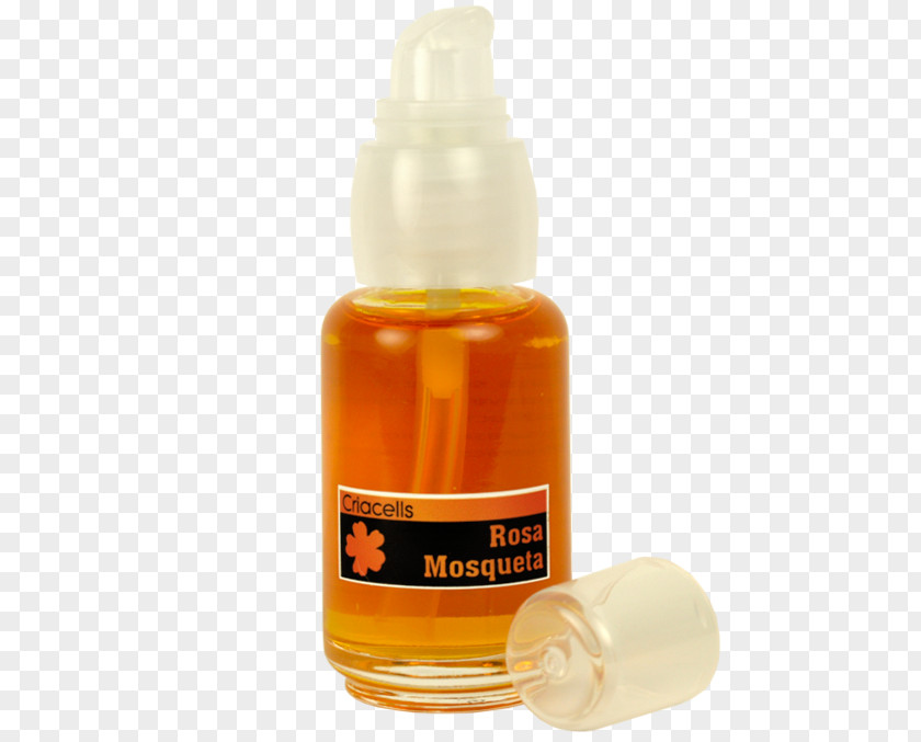 Rosa Mosqueta Glass Bottle Liquid PNG