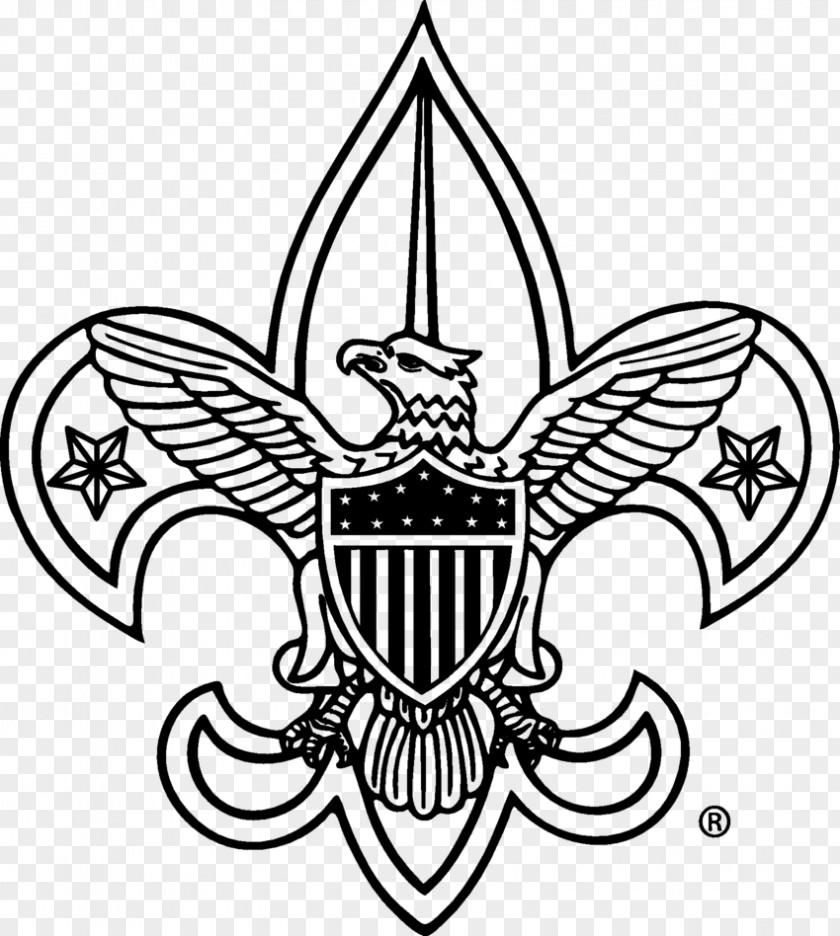 Scout Boy Scouts Of America Cub Scouting Eagle PNG
