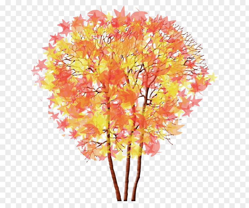 Alberi Ornament Clip Art Centerblog Maple Tree PNG