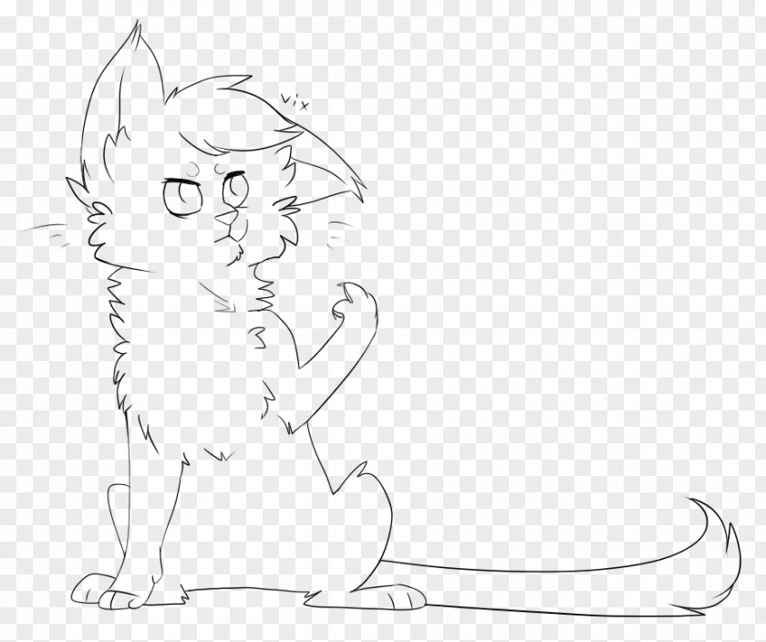 Angry Cat Whiskers Kitten Sketch PNG