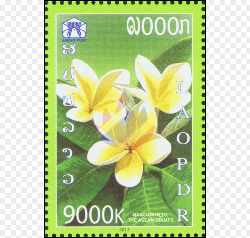 Plumeria Laos Vietnam Association Of Southeast Asian Nations Singapore Postage Stamps PNG