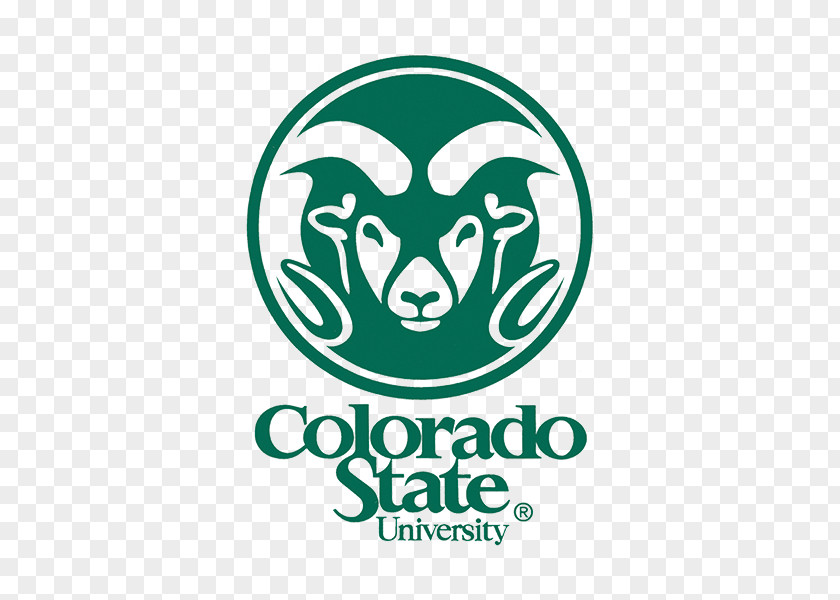 School Colorado State Rams Men's Basketball University Of Denver College Business PNG
