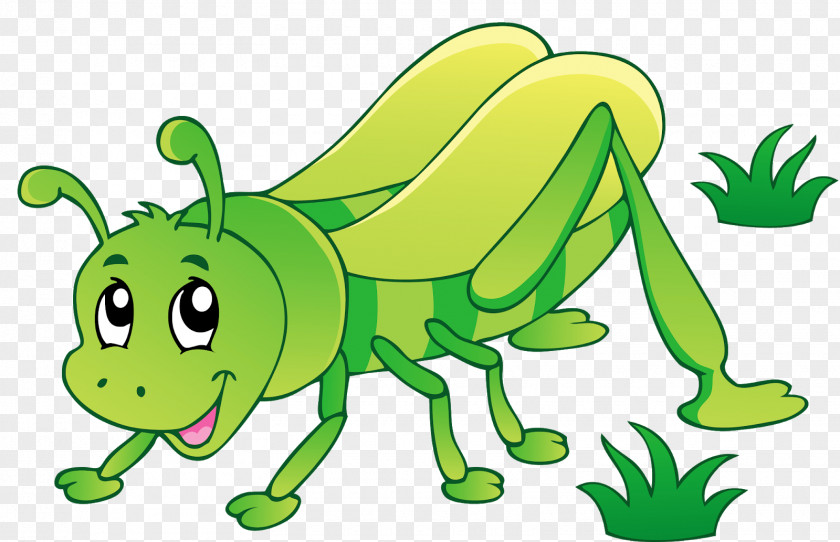 Insect Clip Art Vector Graphics Illustration Ant PNG