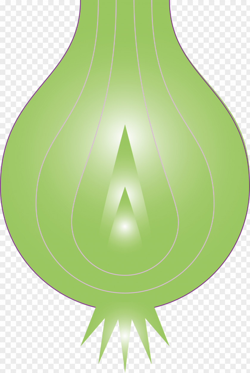 Onion PNG