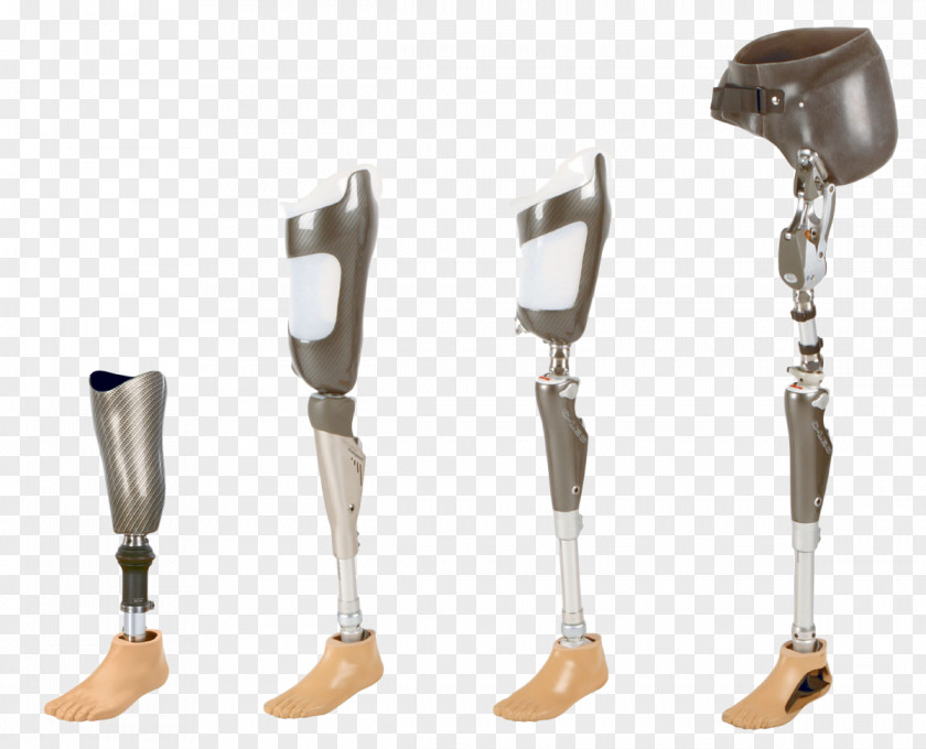Prosthesis Limb Orthotics Health Care Human Leg PNG leg, others clipart PNG