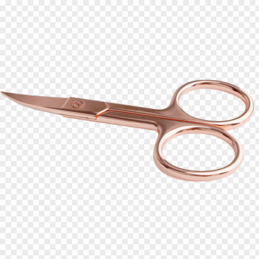 Scissors Nail Clippers Garden Asparagus PNG