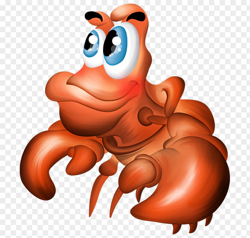 Crab Decapoda Hermit Clip Art PNG