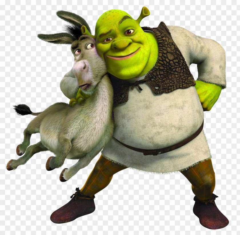 Shrek Film Series Princess Fiona Puss In Boots DreamWorks Animation PNG