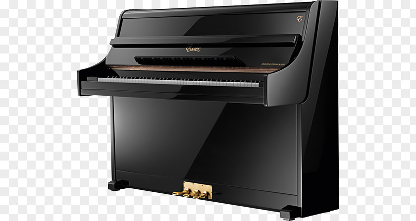Continental Crown Material Digital Piano Electric Player Pianet Celesta PNG