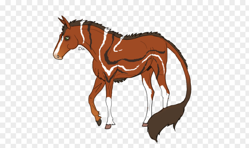 Horse Mule Foal Stallion Mare Colt PNG