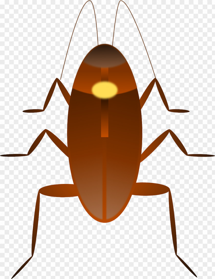 Pest Dr. Cockroach Clip Art PNG