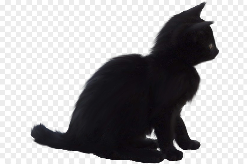 Black Cat Bombay Domestic Short-haired Whiskers PNG