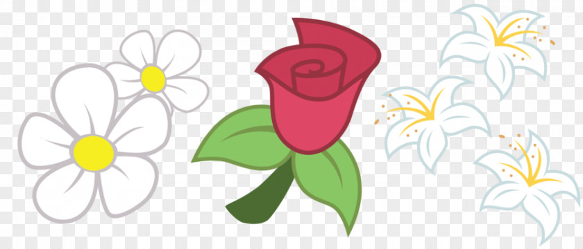 Fell Pony Hooves Floral Design Cutie Mark Crusaders Flower Rainbow Dash PNG