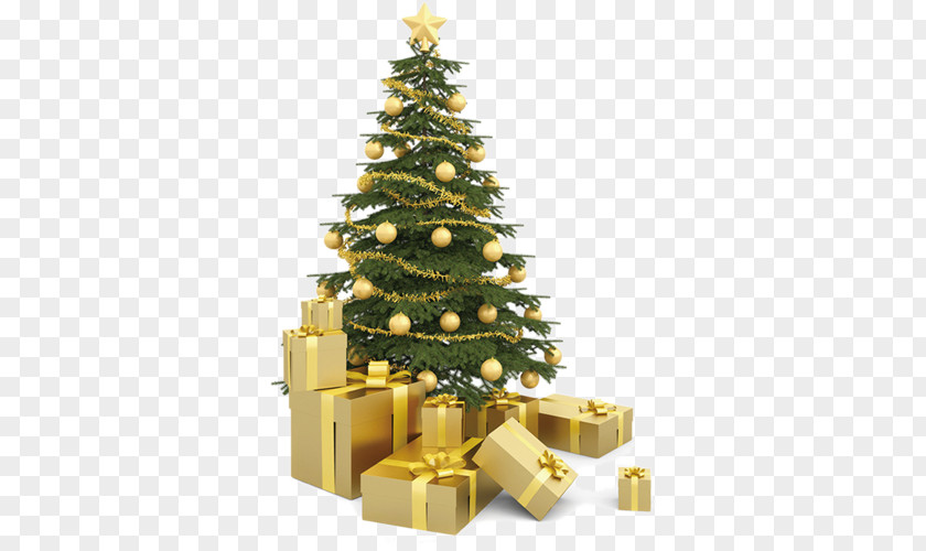Christmas Tree Stock Photography Gift PNG