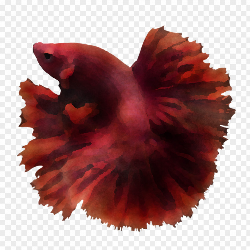 Red PNG