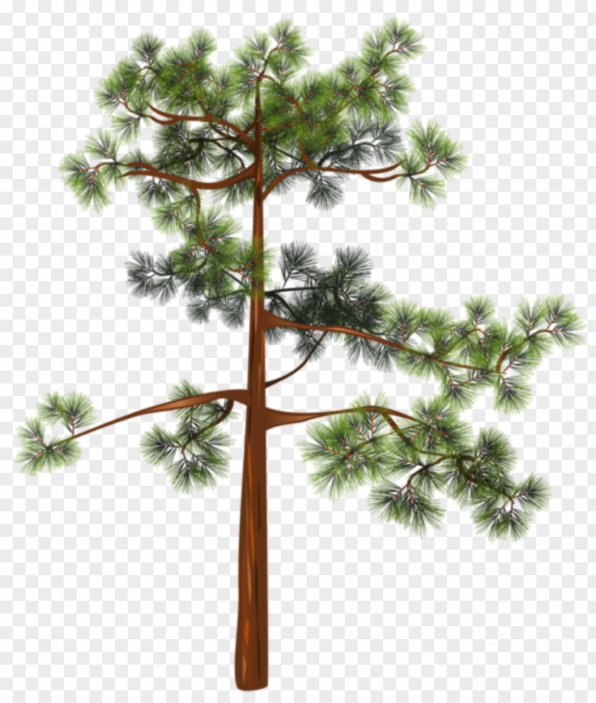 Tree Clip Art Image Illustration PNG