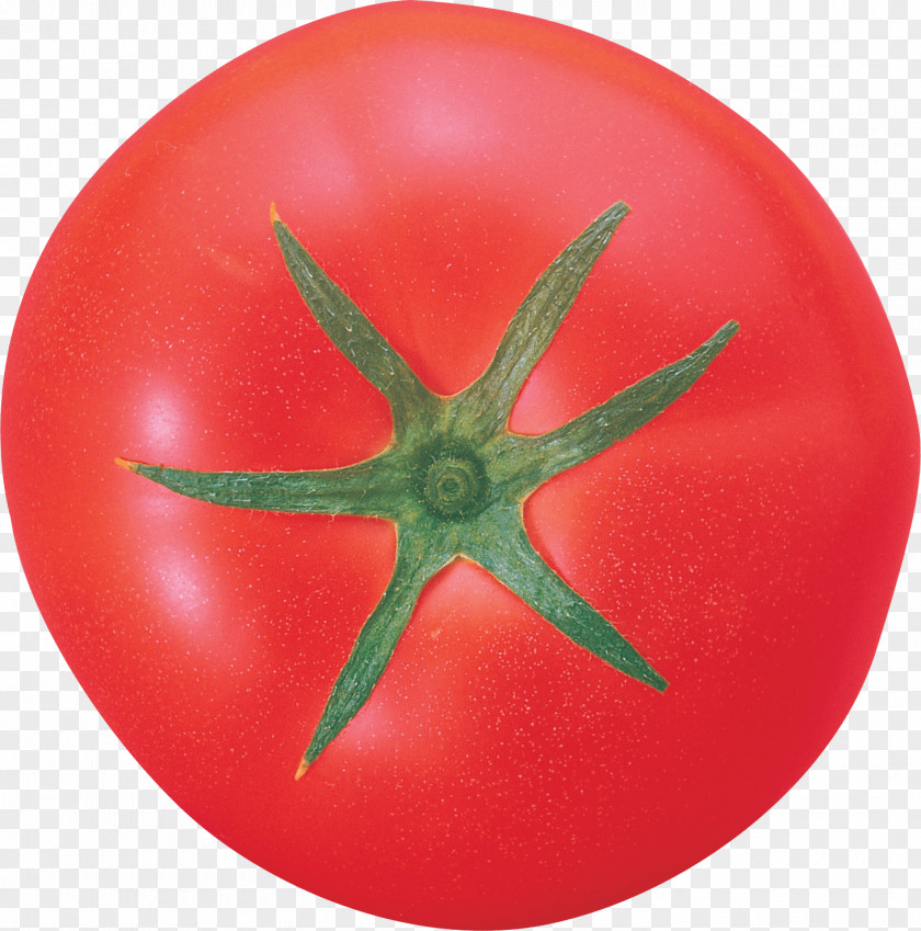 Tomato Image PhotoScape Vegetable PNG