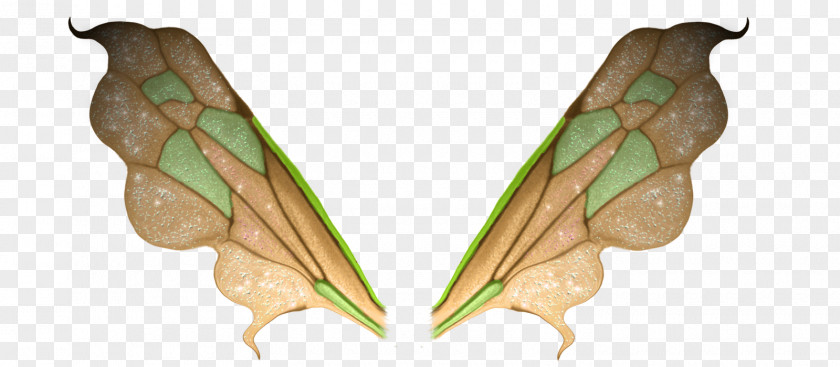 Butterfly Wing Scale Feather PNG