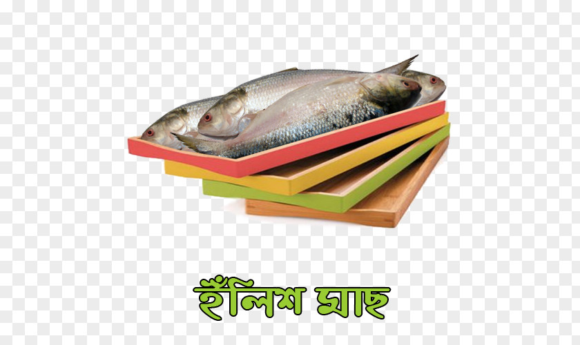 Fish Products 09777 Mackerel Salmon PNG