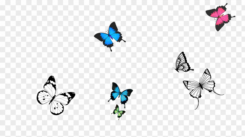 Fun Butterfly Vector Download PNG