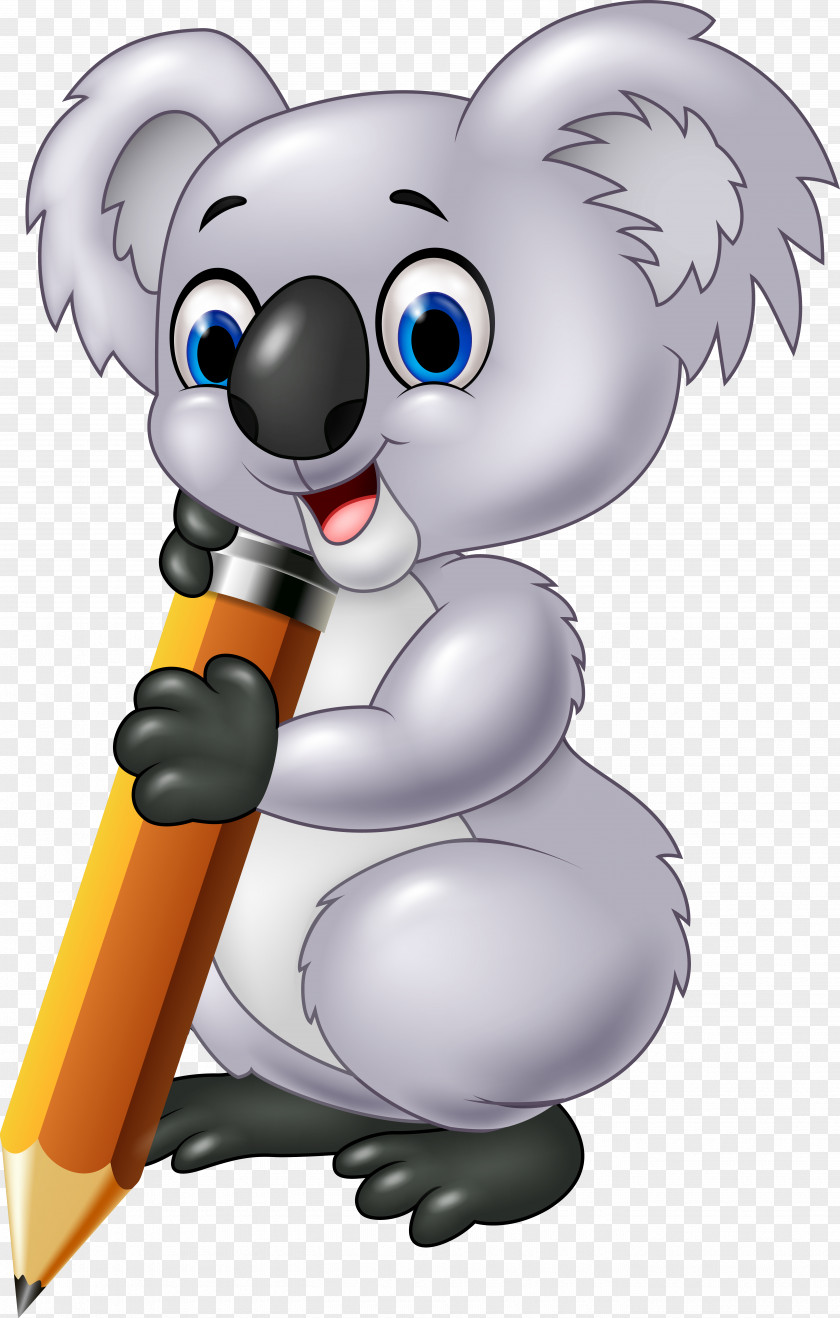 Koala Photography Drawing PNG