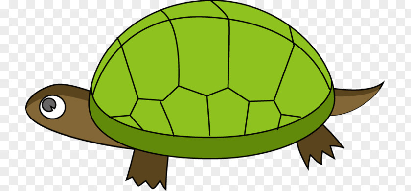 Slow Dance Cliparts Turtle Reptile Tortoise Clip Art PNG