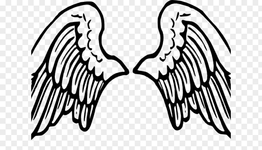 Wings Clip Art Vector Graphics Transparency Free Content PNG