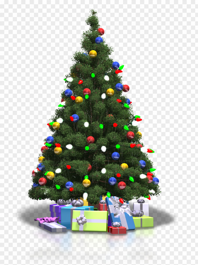Christmas Tree Transparent Background PNG