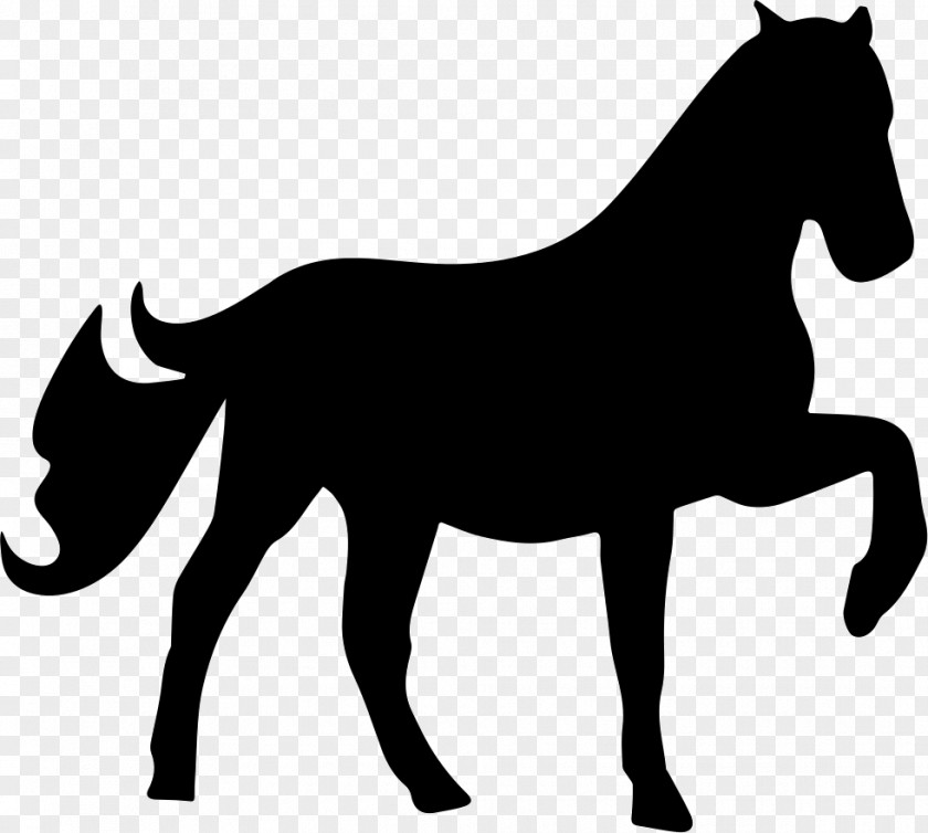 Horse Orlando Equine Veterinary Care, Inc. Stencil Trot Veterinarian PNG