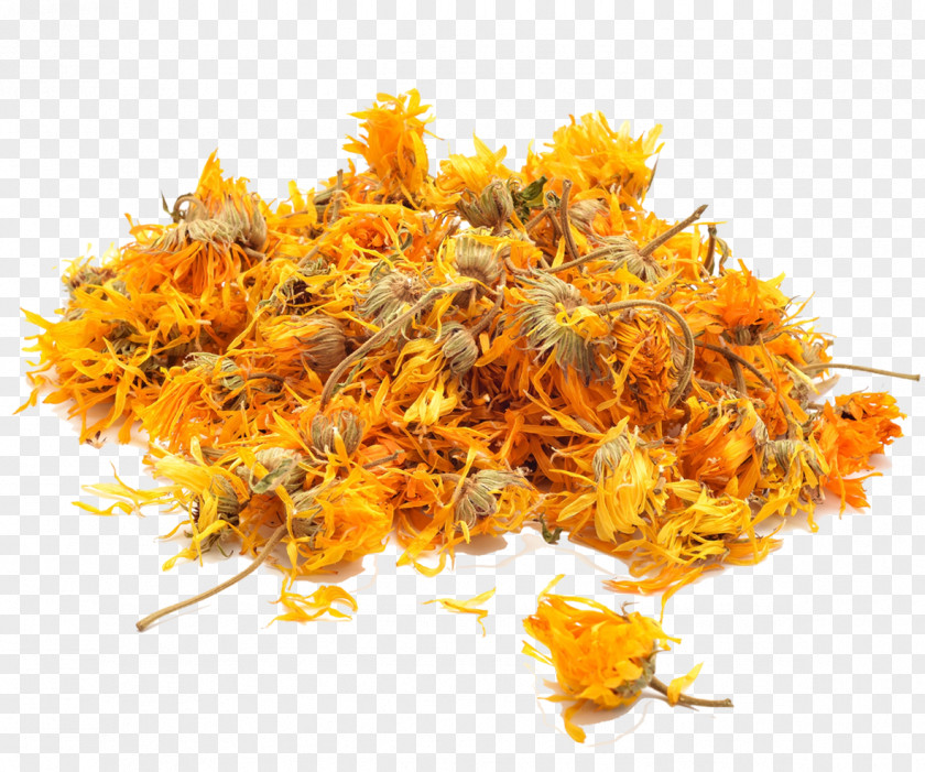 Marigold Flowering Tea Calendula Officinalis Herb PNG