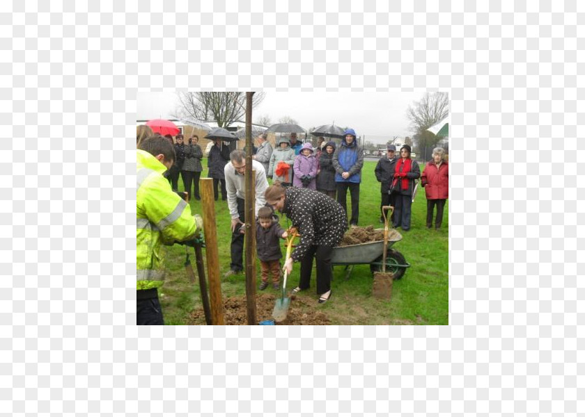 Tree Plantation Soil Vehicle PNG