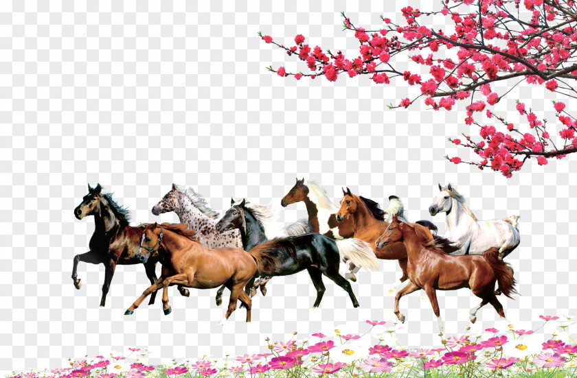 Flowers Horse Free Material Download Computer File PNG