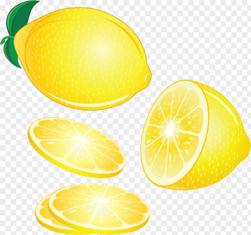 Lemon Citron Lime Clip Art Fruit PNG