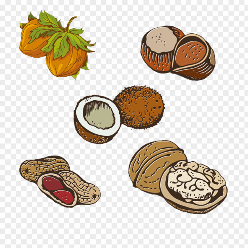 Walnut Nuts Pattern Peanuts Peanut Snack PNG