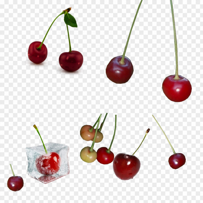 A Variety Of Red Cherry Fruit PNG