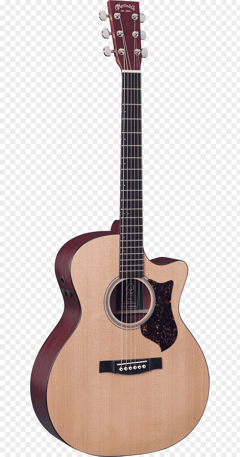 Folk-custom C. F. Martin & Company Dreadnought Steel-string Acoustic Guitar PNG