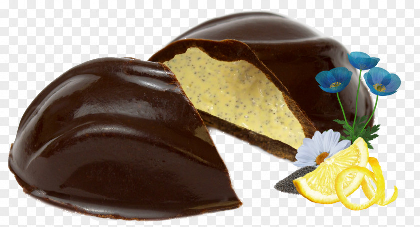 The Golden Egg Chocolate Truffle Bonbon Praline Raw Foodism Sachertorte PNG