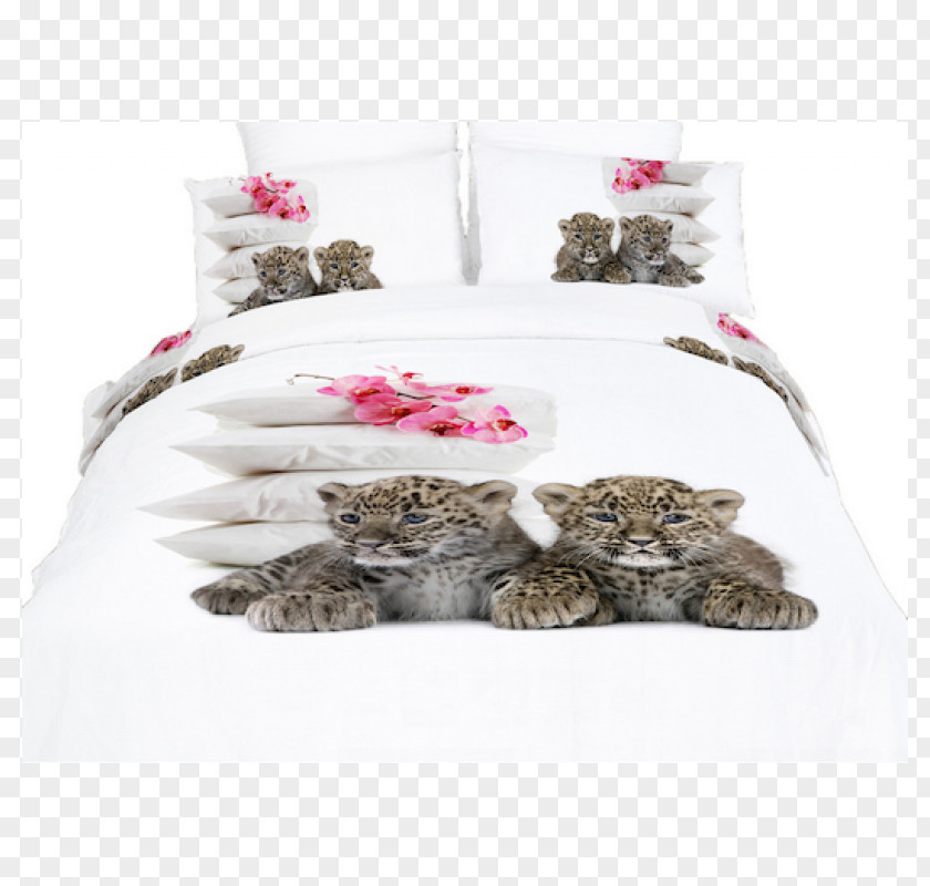Bed Sheets Bedding Duvet Covers Size PNG