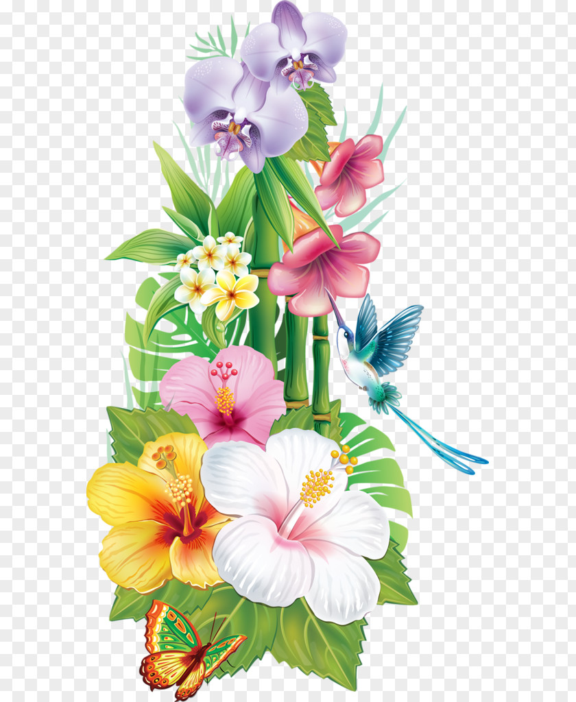 Exotic Flower Tropics Drawing Clip Art PNG