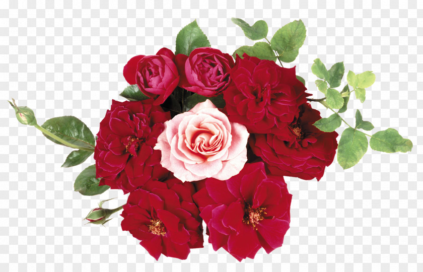 Flower Floral Design Bouquet Rose Desktop Wallpaper PNG