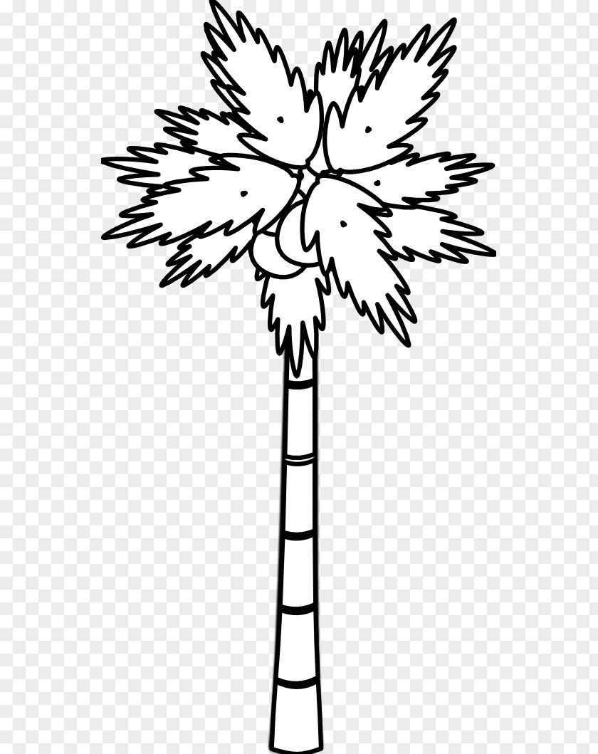 Banana Coconut Cliparts Arecaceae Black And White Tree Clip Art PNG